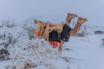 சவுதி அரேபியா காலநிலை வரலாற்றில் ஒரு அரிய மாற்றம்; பனியால் மூடப்பட்ட பகுதிகள்