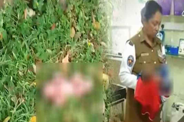 வயலில் கைவிடப்பட்ட குழந்தை: தாயிற்கு அரசு விடுத்துள்ள அறிவிப்பு | Govt Help Mother Of Baby Found In Kurunegala Field