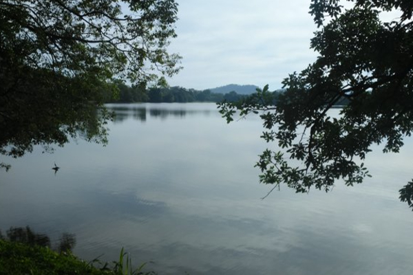 இரகசியமான முறையில் விற்பனை செய்யப்பட்ட நீர்ப்பங்கு: வெளியான தகவல் | Money Injustice Done For Farmer In Kilinochchi இரகசியமான முறையில் விற்பனை செய்யப்பட்ட நீர்ப்பங்கு: வெளியான தகவல் | Money Injustice Done For Farmer In Kilinochchi