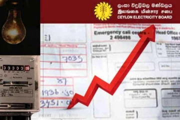 மின் கட்டணம் அதிகரிப்பு : பொதுப் பயன்பாடுகள் ஆணைக்குழுவின் தலைவர்