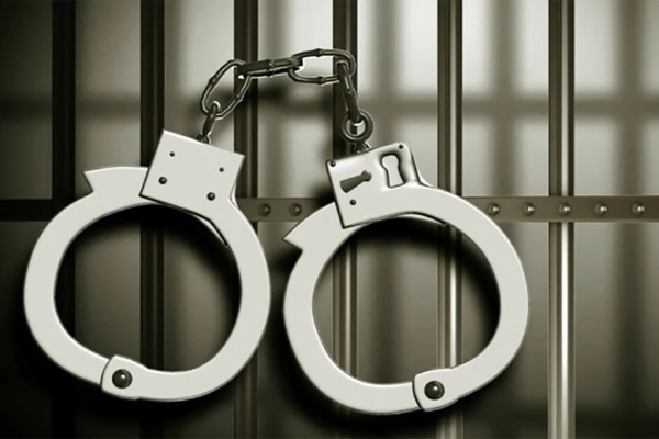 காற்சட்டையில் பாம்புக் குட்டிகளைக் கடத்த முயன்ற நபர் கைது! | Man Arrested For Trying To Snakes In China