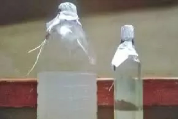 நடு வீதியில் பாடசாலை சீருடையுடன் கசிப்பு குடித்து மயங்கி விழுந்த மாணவர்கள் | School Students Who Fell On The Kasippu Road