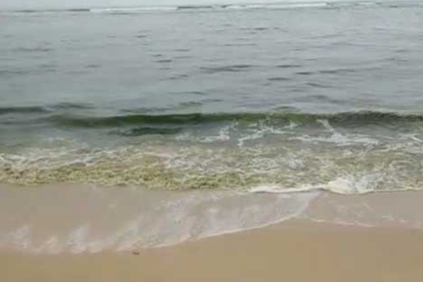 நிறம்மாறும் கடல் நீர்- அச்சத்தில் மக்கள் | The Color Of Matara Sea Changes