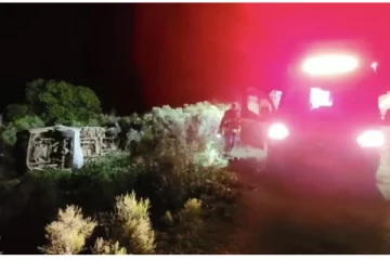 தேன்கூட்டில் ட்ரக்கை மோதிய பெண்ணுக்கு நேர்ந்த துயரம்