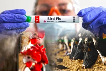 கோவிட் பெருந்தொற்றை விட மோசமான நிலைக்கு தள்ளப்படலாம்: நிபுணர்கள் கடும் எச்சரிக்கை