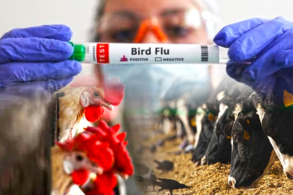 கோவிட் பெருந்தொற்றை விட மோசமான நிலைக்கு தள்ளப்படலாம்: நிபுணர்கள் கடும்