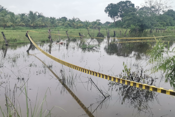 வவுனியாவில் உருக்குலைந்த நிலையில் பெண் ஒருவரின் சடலம் மீட்பு (Photos) | Recovery Of Dead Body Of A Woman Vavuniya