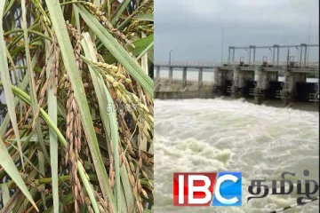 திறக்கப்பட்டது இரணைமடு வான் கதவு : அறுவடைக்கு தயாரான நெல்வயல்கள் நாசம்