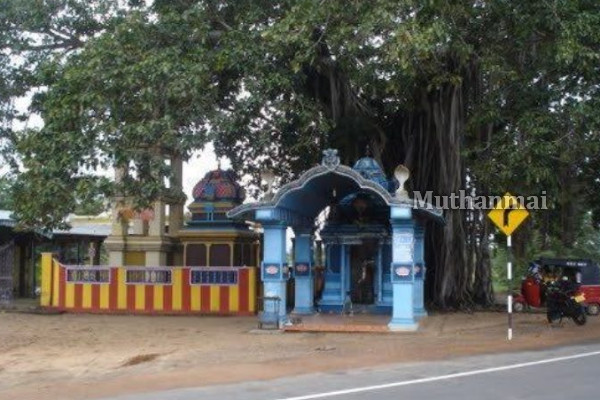 kurukkal madam srilanka