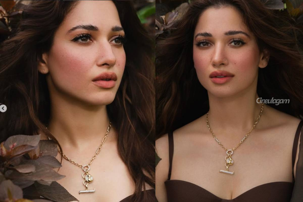 Item Song என்று சொல்லாதீர்கள், அது... வருத்தமாக பேசிய தமன்னா | Actress Tamannaah About Item Song