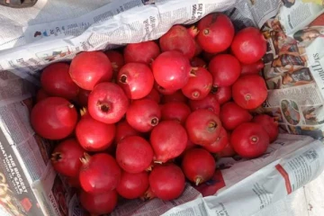 ஏறாவூரில் திருடி ஓட்டமாவடியில் விற்பனை; வசமாக சிக்கிய நபர்