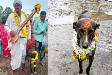 யாத்திரை சென்ற இடத்தில் தொலைந்த வளர்ப்பு நாய் - 4 நாட்களுக்கு பிறகு வந்து சேர்ந்த அதிசயம்