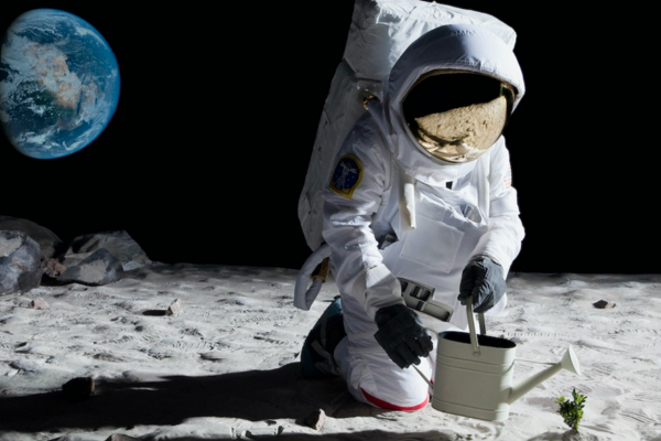 நிலவில் உள்ள நீர் தொடர்பில் 14 வருட தேடலில் கிடைத்த பதில் | Answer Received In Relation Water On The Moon