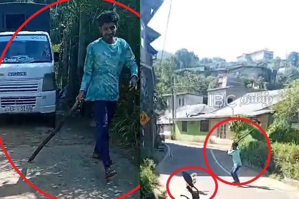 நானுஓயாவில் நாய் மீது மேற்கொள்ளப்பட்ட கொடூர தாக்குதல் : பதைபதைக்க வைக்கும் காணொளி | Dog Brutally Attacked And Tortured In Nanu Oya