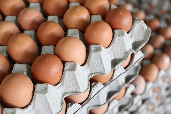 இந்திய முட்டைக்கு அனுமதி! | Allowed For India Eggs