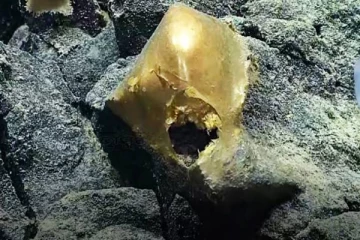 பசிபிக் பெருங்கடலில் ஆய்வின் போது மர்மபொருள் ஒன்றை கண்டுபிடித்த ஆய்வாளர்கள்!