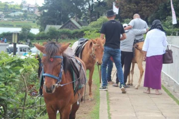 இலங்கை வந்த வெளிநாட்டு பெண்ணுக்கு நேர்ந்த கதி