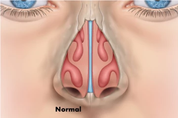 சளி உருவாவது எப்படி என்று உங்களுக்கு தெரியுமா?