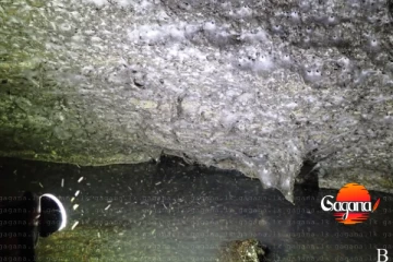 දෙයියනේ මේකට පැටලුනොත් එහෙම නම් ඉවරයි - ලෝකේ ලොකුම මකුළු දැල හමු වෙයි