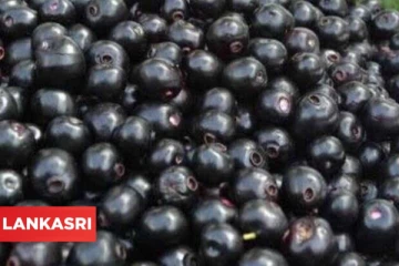 உடலில் சர்க்கரையின் அளவை குறைக்க இந்த பழத்தை நிறைய சாப்பிடுங்க! நிச்சயம் பலன் கிட்டும்!