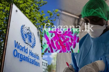 හදුනා නොගත් උණ රෝගයක් - දැනටමත් 79දෙනෙකු මිය ගිහින්.