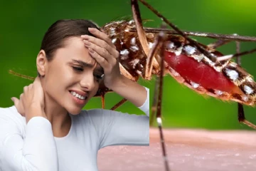 மாத்தறை மாவட்டத்தில் சிக்கன்குனியா ; மக்களுக்கு அவசர எச்சரிக்கை!