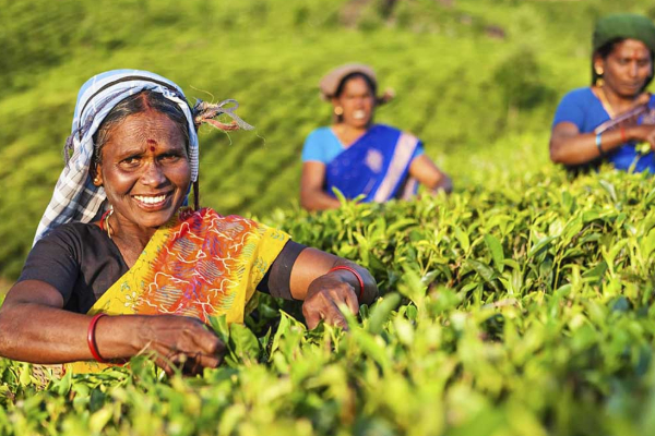 சம்பள உயர்வு ஒரு கண்துடைப்பா! அரசாங்கத்தை கடுமையாக சாடுகிறார் ஜீவன் தொண்டமான் | Salary Hike Blind Eye Jeevan Strongly Criticizes