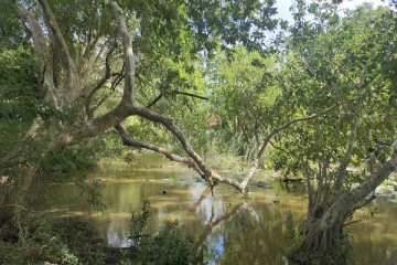 கிளிநொச்சி குளத்தை சுற்றுலாத்தளமாக அபிவிருத்தி செய்ய திட்டம்