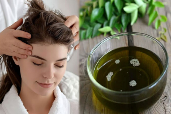 நரைமுடியை கருப்பாக்க உதவும் கருஞ்சீரக எண்ணெய்.., எப்படி தயாரிப்பது? | Karunjeeraga Oil For Grey Hair In Tamil நரைமுடியை கருப்பாக்க உதவும் கருஞ்சீரக எண்ணெய்.., எப்படி தயாரிப்பது? | Karunjeeraga Oil For Grey Hair In Tamil