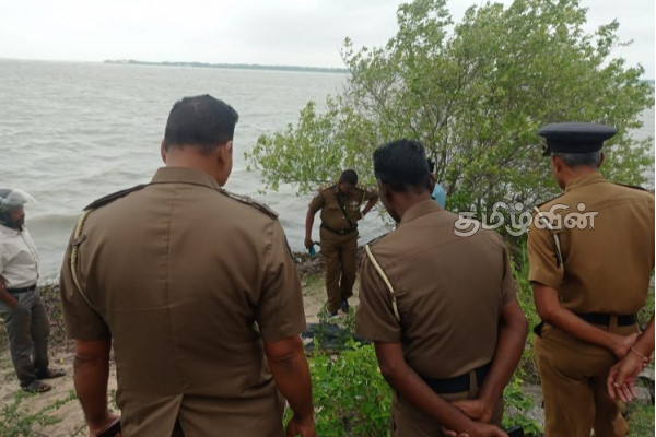யாழில் உயிரிழந்த நிலையில் கரையொதுங்கிய டொல்பின்(Photos) | A Dolphin Washed Ashore Dead In Jaffna