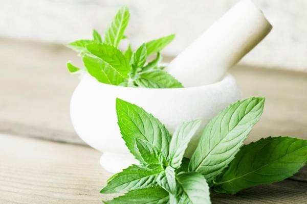 சரும பொலிவை அதிகரிக்கும் புதினா சட்னி! வாரம் ஒரு முறை இப்படி சாப்பிடுங்க | Tasty Mint Chutney Recipe And Health Benefits