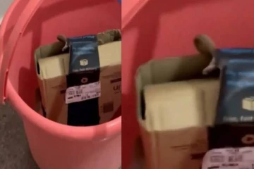 Amazon பொதியில் இருந்து வெளியேறிய பாம்பு..! பகீர் கிளப்பும் காட்சி