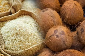 சந்தையில் அரிசி, தேங்காய் விலை தொடர்பில் முன்வைக்கப்படும் குற்றச்சாட்டு