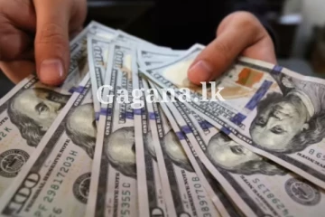 ඊයේ එක්ක බලද්දී එකපාරටම ඩොලරයට අද මොකද වුණේ දන්නව ද?. (PHOTO)