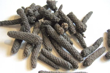 என்னது திப்பிலியில் இவ்வுளவு பலன் இருக்கா?