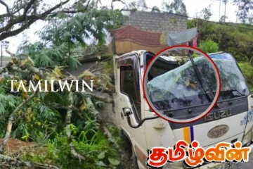 திடீரென வீட்டின் மீது முறிந்து விழுந்த ஆலமரம்! மூவருக்கு ஏற்பட்ட நிலை