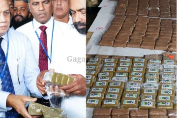 ඉතාලියෙන් අමුතුම විදිහකට ගුවනින් ආ හෂීස් - වටිනාකම මිලියන ගාණක්.. හිමිකරුවන් කවුරුන් විය හැකි ද?. (VIDEO / UPDATE)