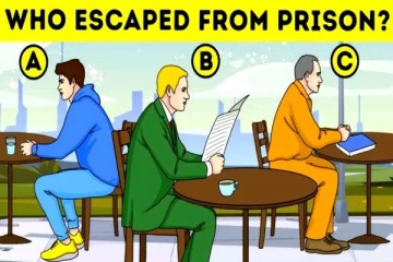 IQ Test: மக்களை ஏமாற்றி நடுவில் மறைந்திருக்கும் கைதி.. 5 வினாடிகளில் கண்டுபிடிங்க