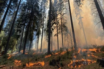 கலிபோர்னியாவில் ஏற்பட்டுள்ள கடுமையான காட்டுத்தீ... இருவர் பரிதாபமாக உயிரிழப்பு!