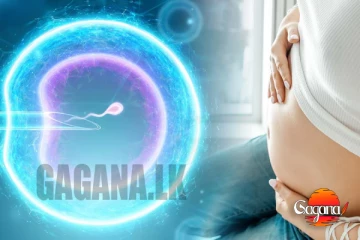 තාක්ෂණය යොදා කළ පළමු ගැබ් ගැන්වීම සාර්ථකයි