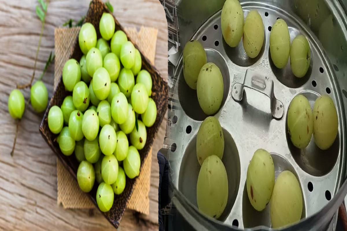 தினமும் ஆவியில் வேக வைத்த 1 நெல்லிக்காயை சாப்பிடுவதால் என்னென்ன நன்மைகள் கிடைக்கும் தெரியுமா? | Vega Vaithta Nellikai Sapituvathal Kitaikum Nanmai