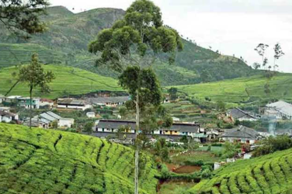 ரணிலின் மற்றுமொரு மோசடி: அரசு கையகப்படுத்திய ஐந்து ஏக்கர் காணி | 5 Acres Haputale That Ranil Gave To The Gmoa