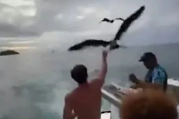 Venice இல் பறவைகளுக்கு உணவு அளித்தவருக்கு ஆறு இலக்கத் தொகை அபராதம்