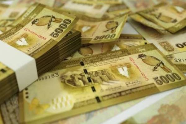 முதியோர் கொடுப்பனவு : இன்று முதல் வங்கிக் கணக்குகளுக்கு வரும் பணம் | Payments Will Be Deposited Into Bank Accounts