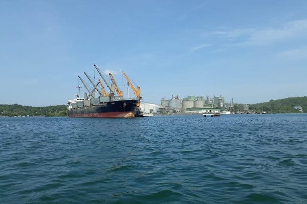 தமிழர் பகுதியில் குவிந்து கிடக்கும் வளங்கள்; சூறையாட தயாராகும் இந்தியா | Does Sri Lanka Have Oil And Gas