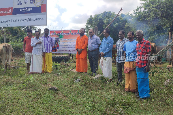 தமிழர் பகுதியில் இடம்பெற்ற பட்டிப்பொங்கல் விழா | Pattippongal Festival Held In Tamil Area