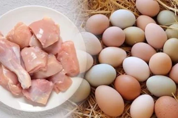 மீண்டும் உயரும் கோழி இறைச்சி மற்றும் முட்டையின் விலை
