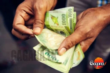 හිඟ මුදල් සහිතව වැඩිහිටි දීමනාව දෙන දවස කියයි