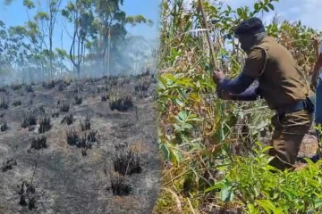 ஹட்டனில் தனியார் நிலத்தில் காட்டுத் தீ: பொலிஸார் வெளியிட்டுள்ள சந்தேகம்