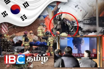 வெடித்துச் சிதறிய தென்கொரியா விமானம் - நிபுணர்கள் எழுப்பிய சந்தேகம்: நீடிக்கும் மர்மம்